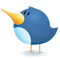 twitter bird